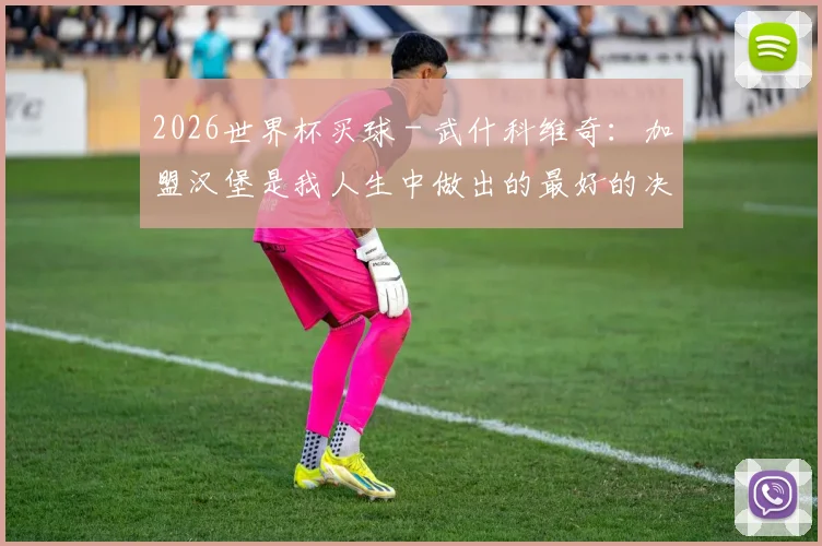 2026世界杯买球 - 武什科维奇：加盟汉堡是我人生中做出的最好的决定