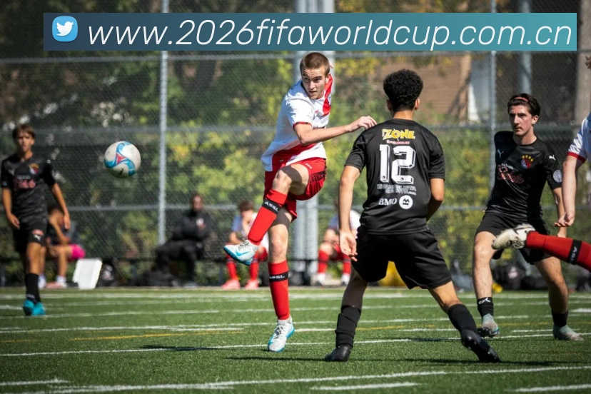 2026世界杯全站App